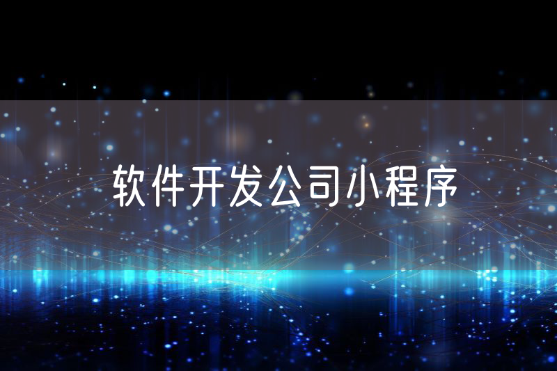 軟件開發(fā)公司小程序